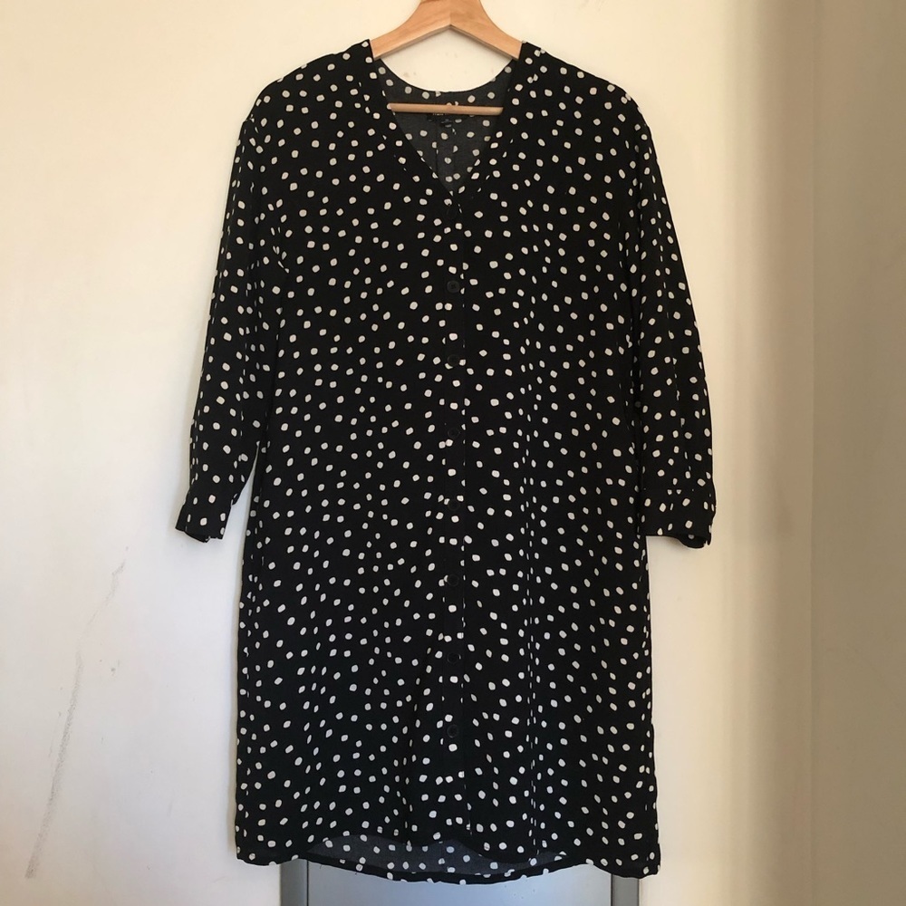 Frank & Oak Polkadot button-up Long-sleeve Dress